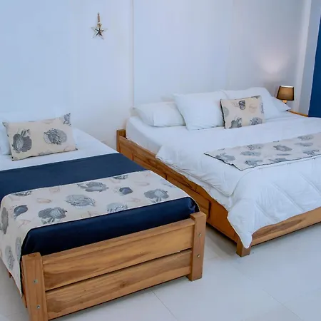 Nautilus Urban Loft *